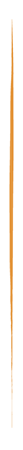 Línea naranja Línea naranja
